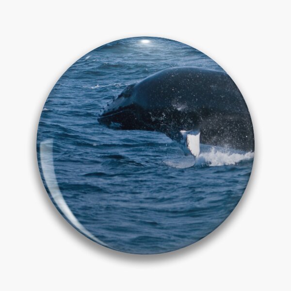 Item preview, Humpback Whale - Newfoundland, Canada designed and sold by Raymond J Barlow.