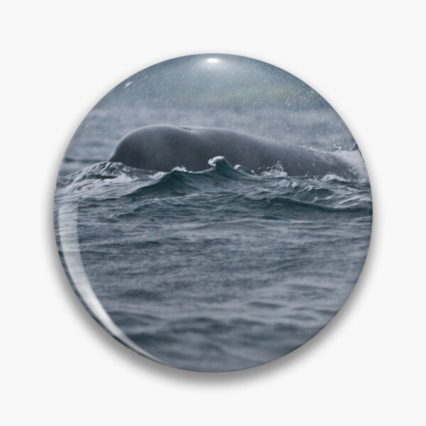 Item preview, Orca  at Newfoundland, Canada designed and sold by Raymond J Barlow.