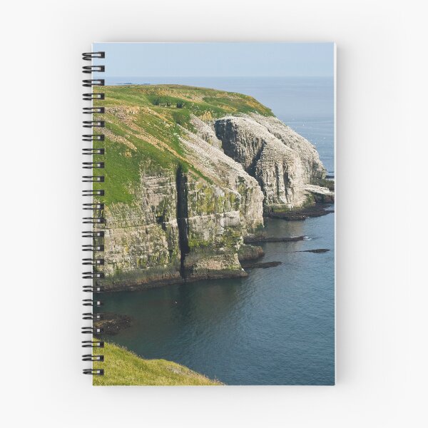 Item preview, Gannets at Cape Saint Mary's - Newfoundland designed and sold by Raymond J Barlow.