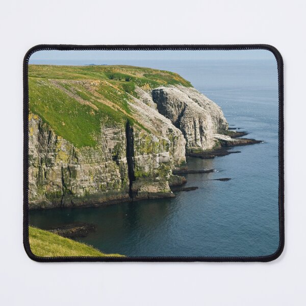 Item preview, Gannets at Cape Saint Mary's - Newfoundland designed and sold by Raymond J Barlow.