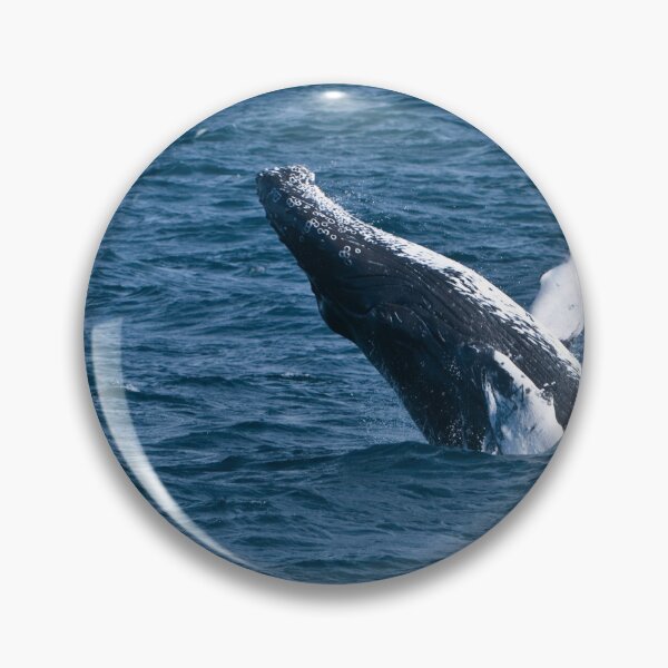 Item preview, Humpback Whale - Newfoundland, Canada designed and sold by Raymond J Barlow.