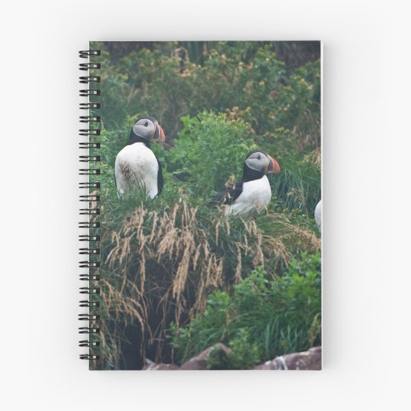Item preview, Atlantic Puffins - Newfoundland Canada designed and sold by Raymond J Barlow.