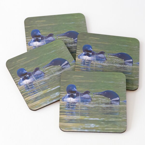 Item preview, Loon Family, Feeding time! designed and sold by Raymond J Barlow.