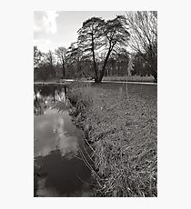 Park Photographic Print