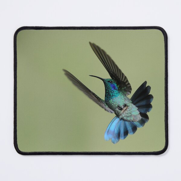 Item preview, Green VioletearHummingbird in Flight designed and sold by Raymond J Barlow.