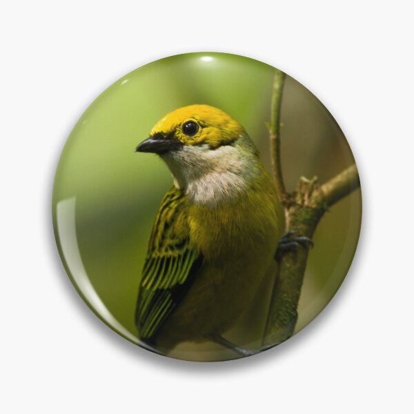 Item preview, Silver-throated Tanager designed and sold by Raymond J Barlow.