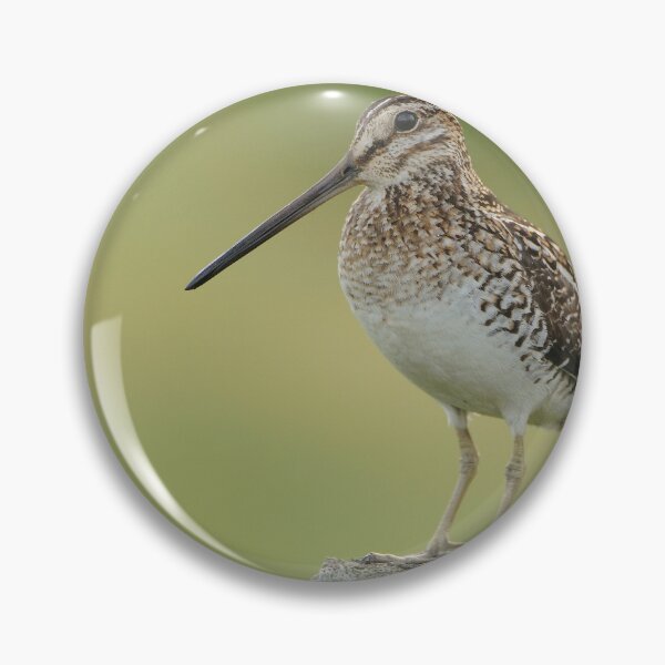 Item preview, Wison"s Snipe - Ontario Canada designed and sold by Raymond J Barlow.