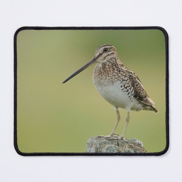 Item preview, Wison"s Snipe - Ontario Canada designed and sold by Raymond J Barlow.