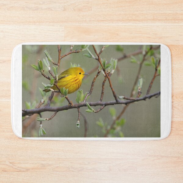 Item preview, Yellow Warbler - Ontario, Canada designed and sold by Raymond J Barlow.