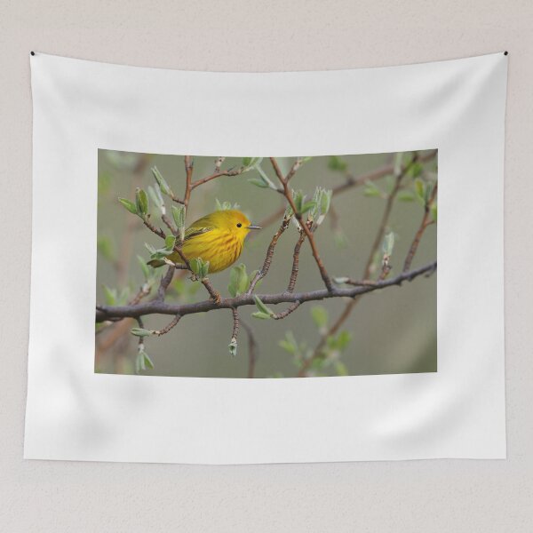 Item preview, Yellow Warbler - Ontario, Canada designed and sold by Raymond J Barlow.