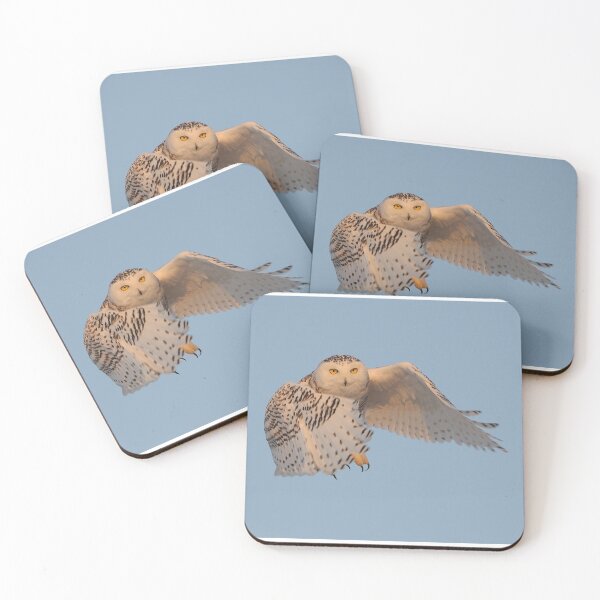 Item preview, Snowy Owl in Flight designed and sold by Raymond J Barlow.