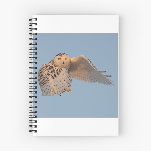 Item preview, Snowy Owl in Flight designed and sold by Raymond J Barlow.