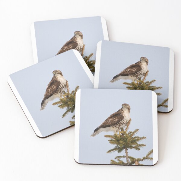 Item preview, Red-tailed Hawk Hunting designed and sold by Raymond J Barlow.