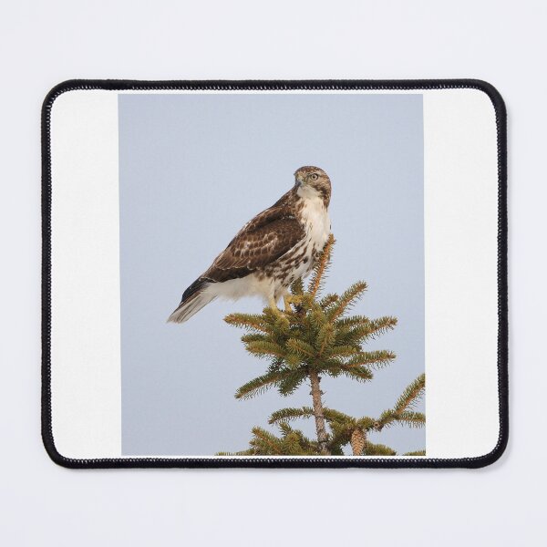 Item preview, Red-tailed Hawk Hunting designed and sold by Raymond J Barlow.