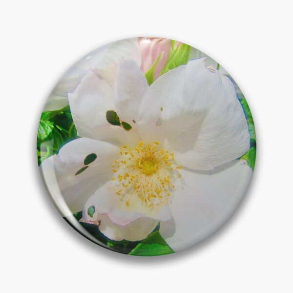 Item preview, Wild roses designed and sold by Shulie1.