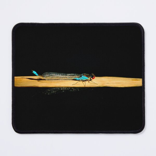 Item preview, Damselfly reflection designed and sold by Vanja Rosenthal.
