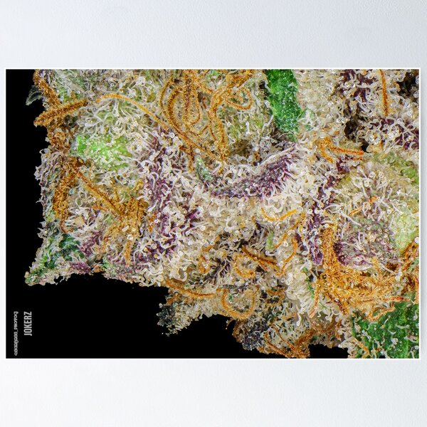 Item preview, Nug Art - Jokerz Weed Photo  designed and sold by gypsywander.
