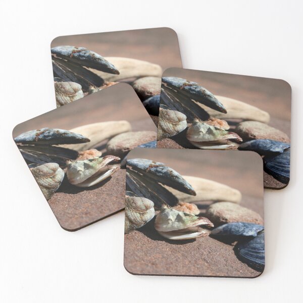 Item preview, Sea Shells on Sandstone Photograph - Art designed and sold by jolabrese.