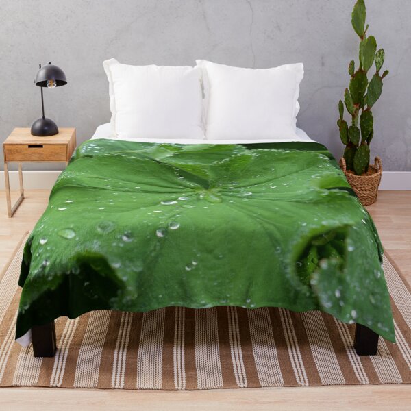 Item preview, Dew Drops on a Leaf Photography designed and sold by ThePhotograph03.