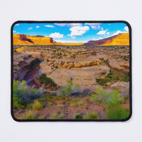 Item preview, Horseshoe Bend in the Desert, UT-95 Utah designed and sold by Brian Shaw.