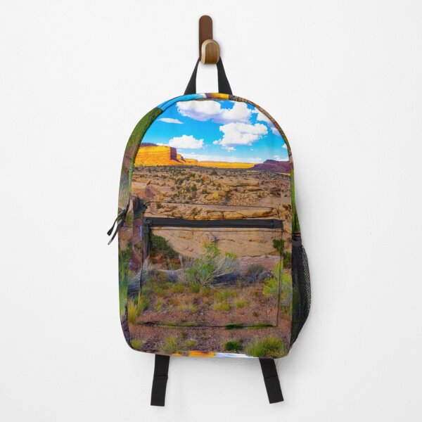Item preview, Horseshoe Bend in the Desert, UT-95 Utah designed and sold by Brian Shaw.