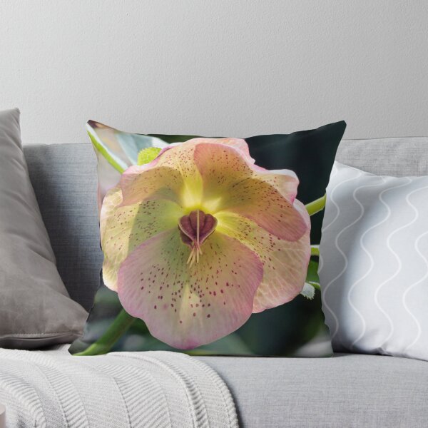 Item preview, Hellebore Glow designed and sold by ASTRID EWING.