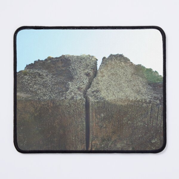Item preview, Lichen, Moss, Wood, and Lens Flare Photograph - Art designed and sold by jolabrese.