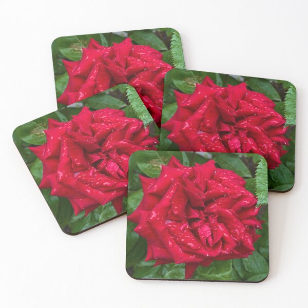 Item preview, Red rose designed and sold by ElisabethPhotos.