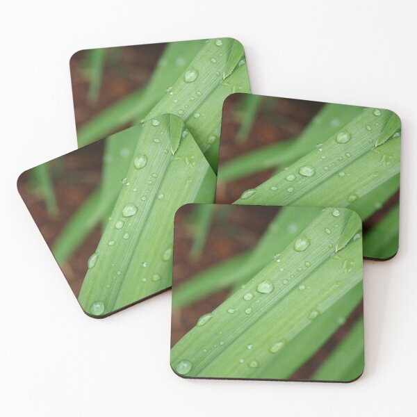 Item preview, Dew on a Grass Photograph - Art designed and sold by jolabrese.