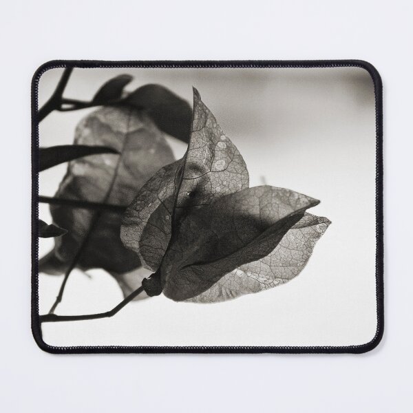 Item preview, Leaf Silhouettes  designed and sold by WhitSpace.