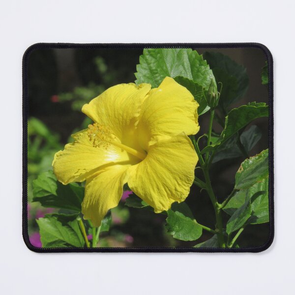 Item preview, Yellow Chinese Hibiscus designed and sold by SpookyCatHouse.