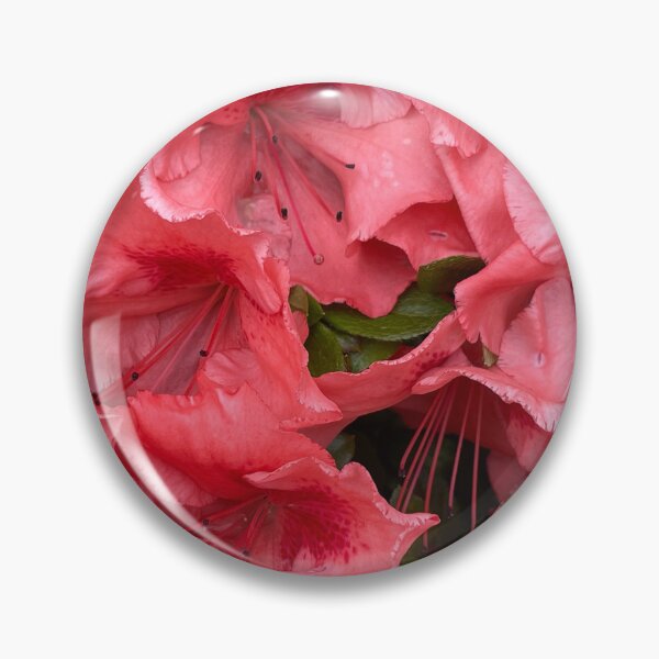 Item preview, Red Azaleas designed and sold by SpookyCatHouse.