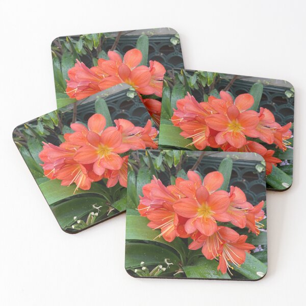 Item preview, Red Clivia Lily designed and sold by SpookyCatHouse.