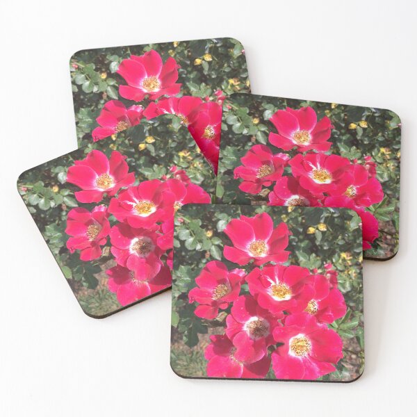 Item preview, Pink Hybrid Tea Rose designed and sold by SpookyCatHouse.