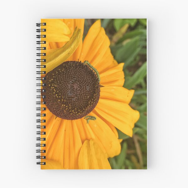 Item preview, Black-Eyed Susan and Friends designed and sold by TammyRaybould.