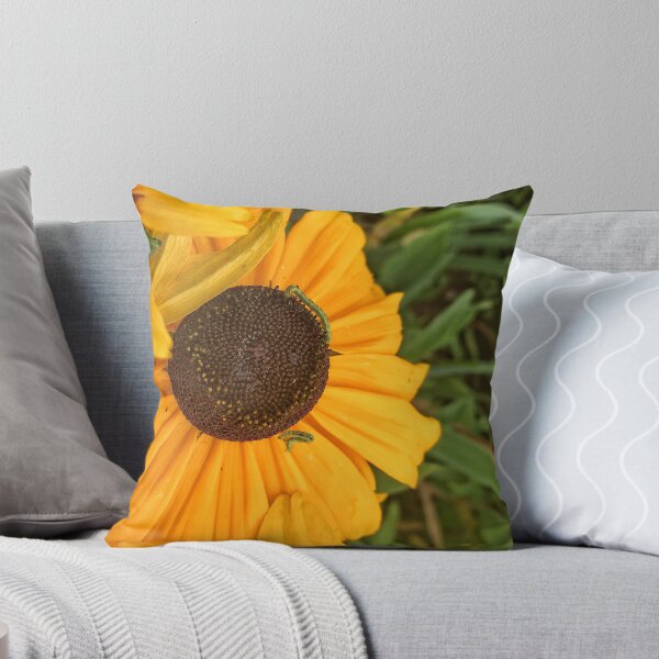 Item preview, Black-Eyed Susan and Friends designed and sold by TammyRaybould.