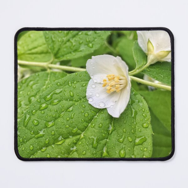 Item preview, Mock Orange designed and sold by TammyRaybould.
