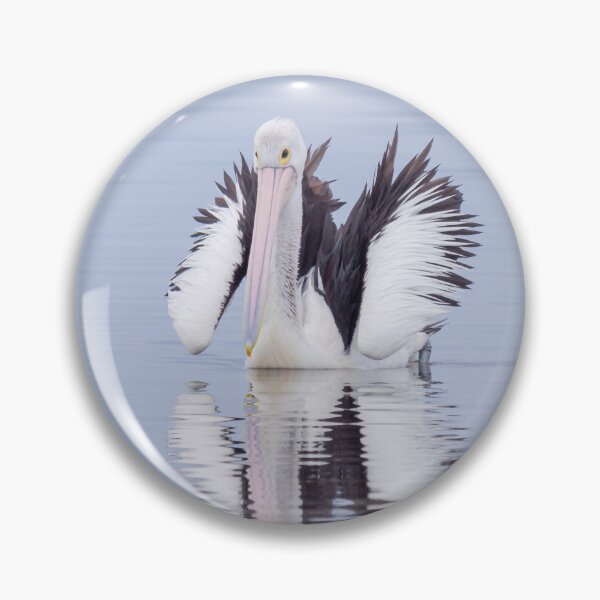 Item preview, Australian Pelican designed and sold by iansmissenphoto.