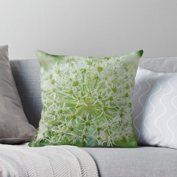 Item preview, Allium karataviense  'Ivory Queen'  Kara Tau garlic  designed and sold by Chris Burrows.