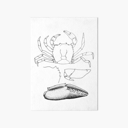 Item preview, Lamina POTAMONIDAE dotted designed and sold by J-Edgard.