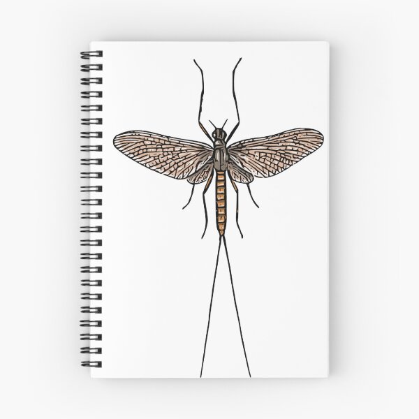 Item preview, Mayfly (atalophlebia) designed and sold by Artbychb.