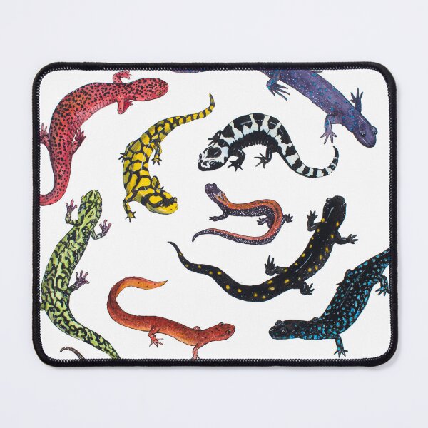 Item preview, Salamanders designed and sold by Wildlife Art by Holly.