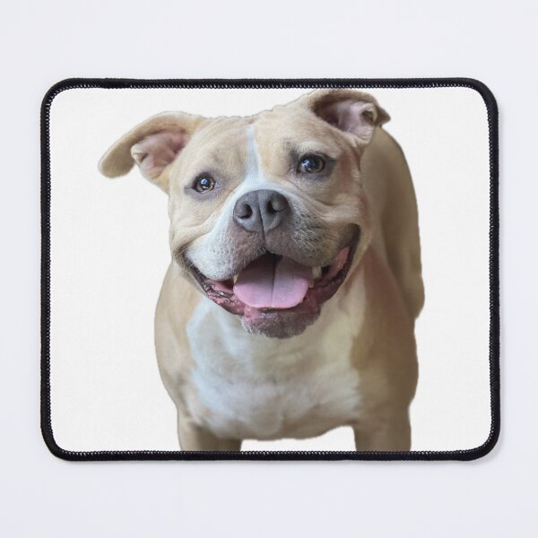 Item preview, Daisy Mae designed and sold by jeffraglan.