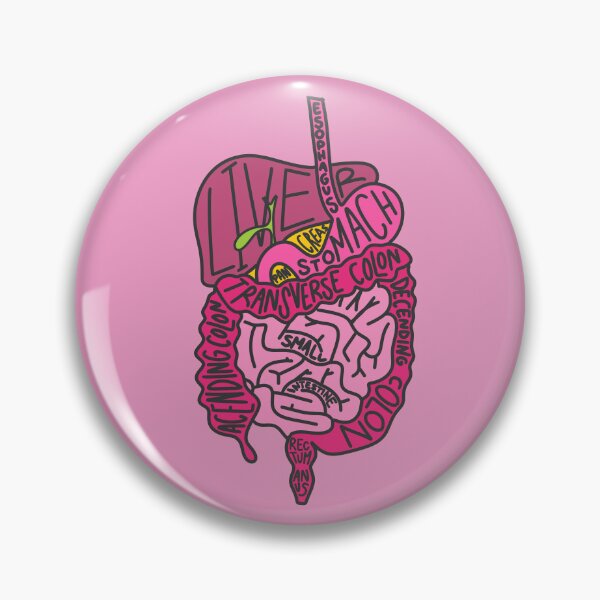 Item preview, Gastrointestinal System designed and sold by OctagonGlasses.