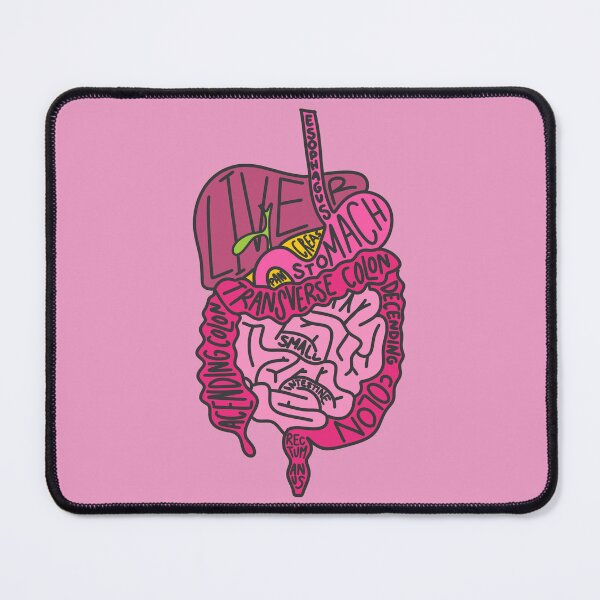 Item preview, Gastrointestinal System designed and sold by OctagonGlasses.