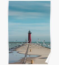 Seagulls on the Pier Poster