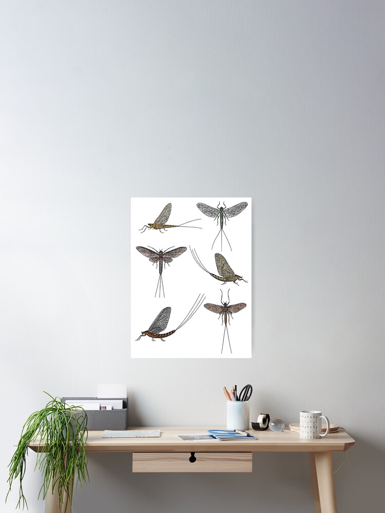Mayfly insect pattern Poster