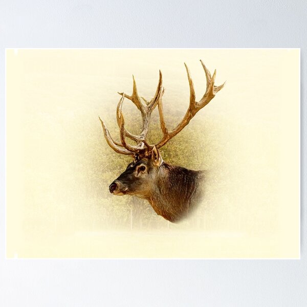 Item preview, Deer portrait designed and sold by Guardi71.