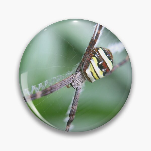 Item preview, St.Andrew's Cross Spider designed and sold by RanranBugs.