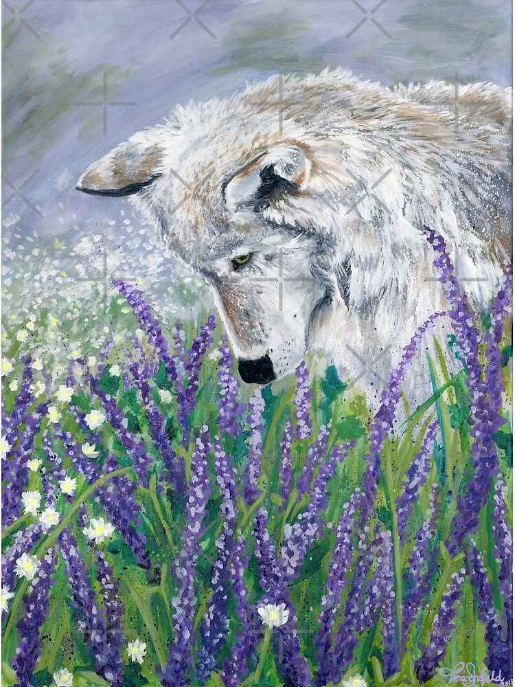 Disover Lavender Wolf Canvas